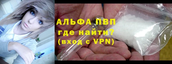 сатива Куйбышев