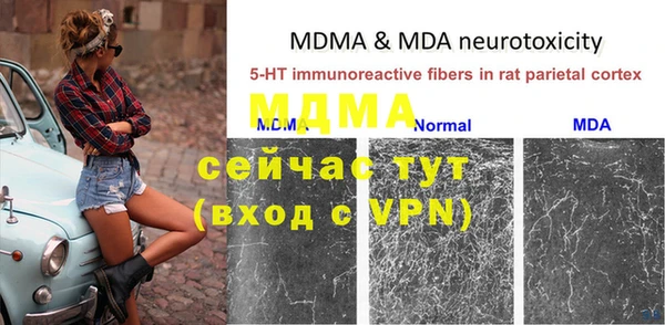 спиды Кукмор