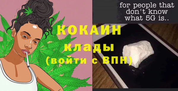 сатива Куйбышев