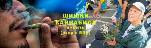 сатива Куйбышев