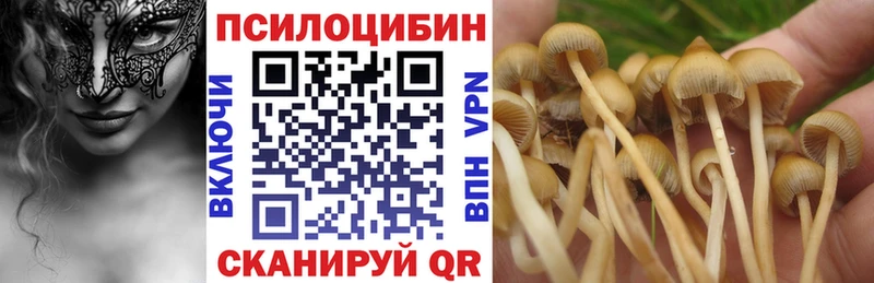 Галлюциногенные грибы MAGIC MUSHROOMS  где купить наркотик  Чердынь 